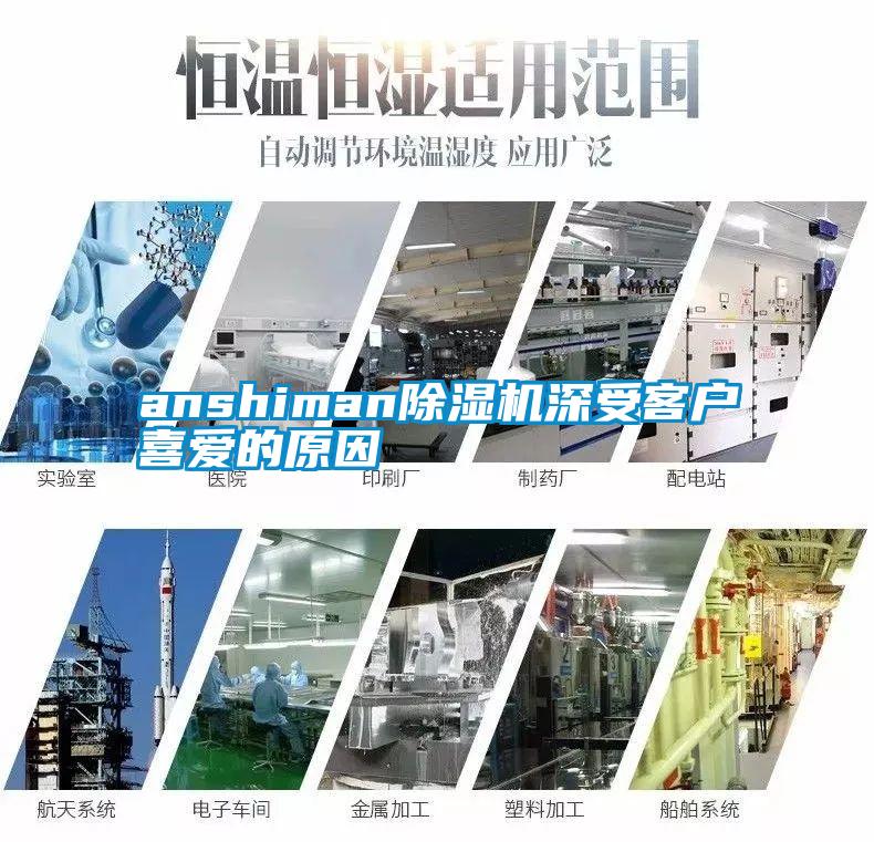 anshiman麻豆视频免费看深受客戶喜愛的原因