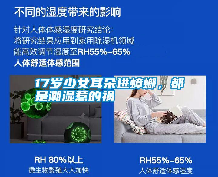 17歲少女耳朵進蟑螂，都是潮濕惹的禍