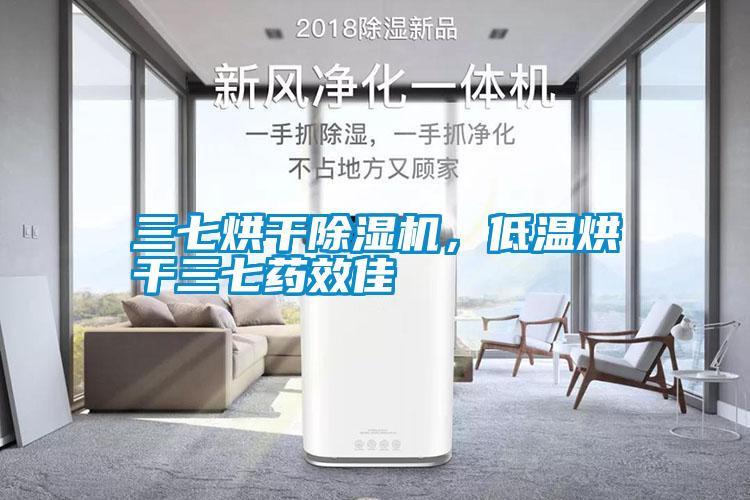 三七烘幹麻豆视频免费看，低溫烘幹三七藥效佳