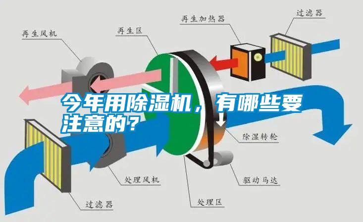 今年用麻豆视频免费看，有哪些要注意的？