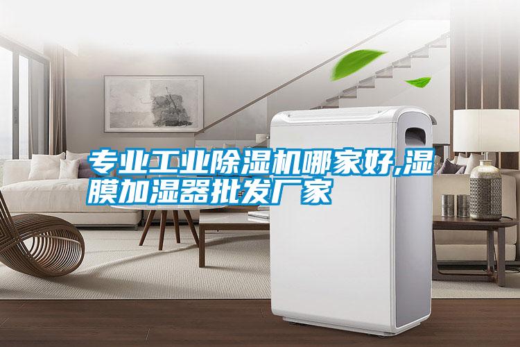 專業工業麻豆视频免费看哪家好,濕膜加濕器批發廠家