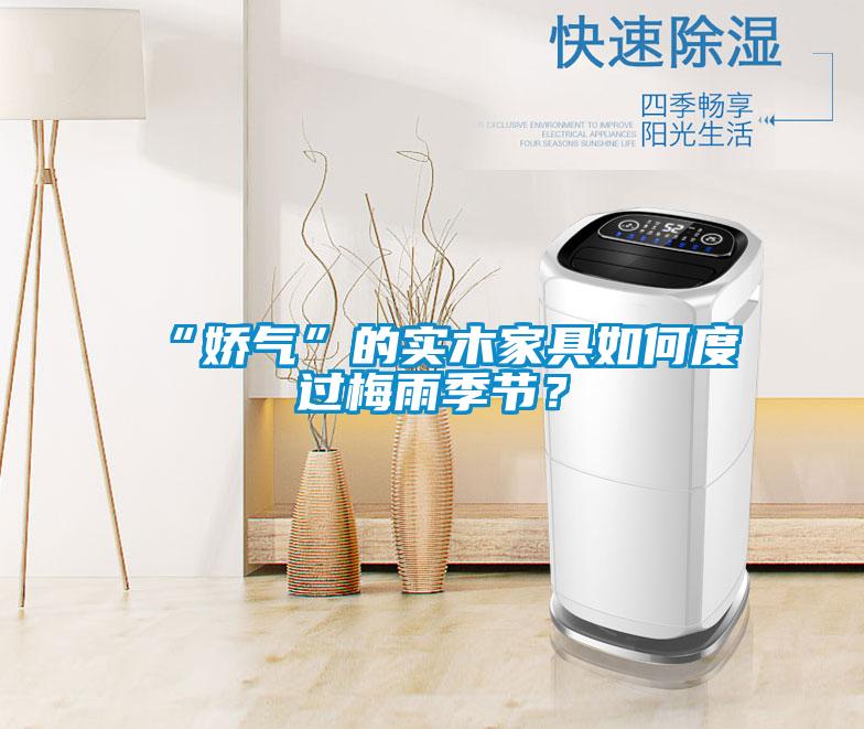 “嬌氣”的實木家具如何度過梅雨季節？