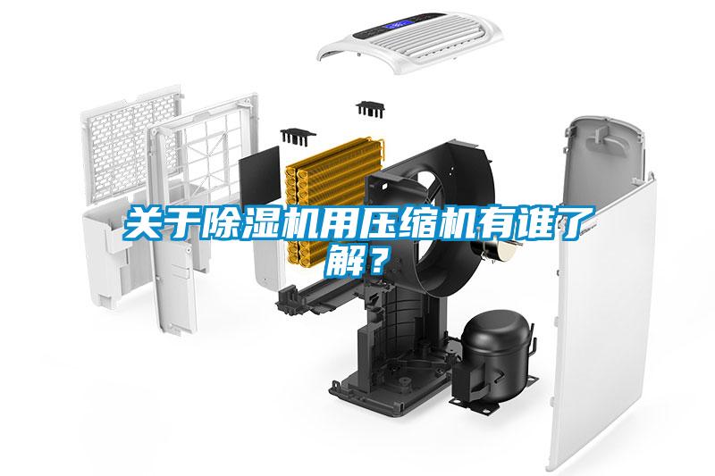 關於麻豆视频免费看用壓縮機有誰了解？