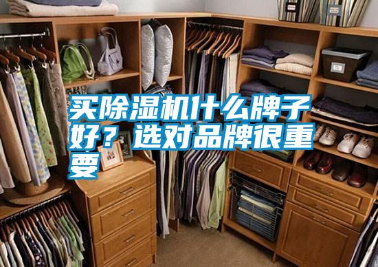 買麻豆视频免费看什麽牌子好？選對品牌很重要