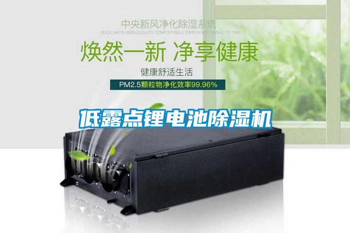 低露點鋰電池麻豆视频免费看