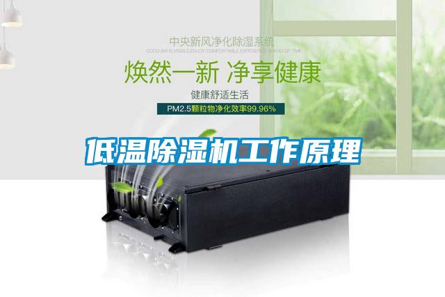 低溫麻豆视频免费看工作原理