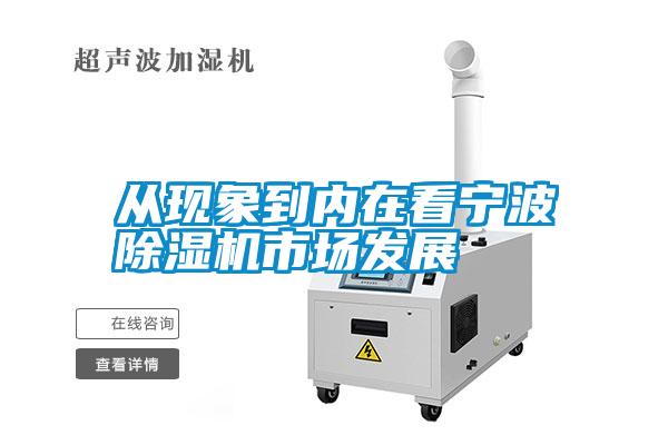 從現象到內在看寧波麻豆视频免费看市場發展