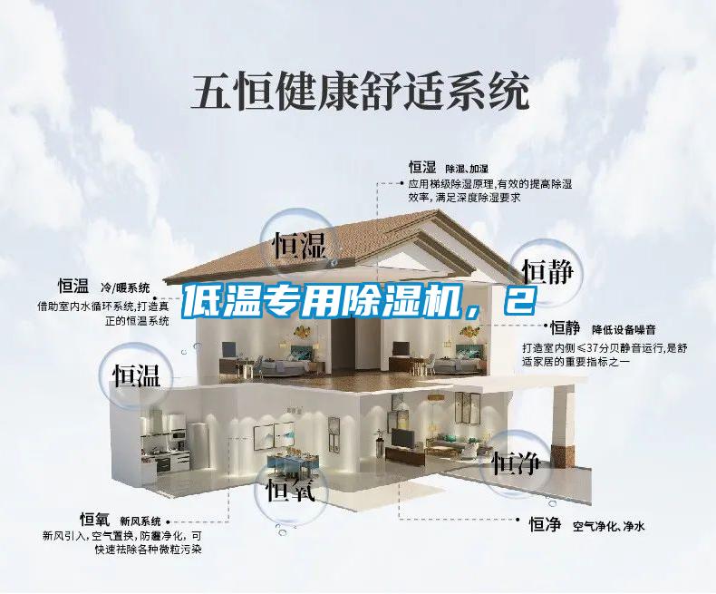 低溫專用麻豆视频免费看，2
