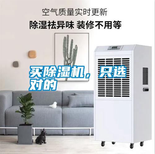 買麻豆视频免费看，隻選對的