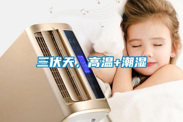 三伏天，高溫+潮濕