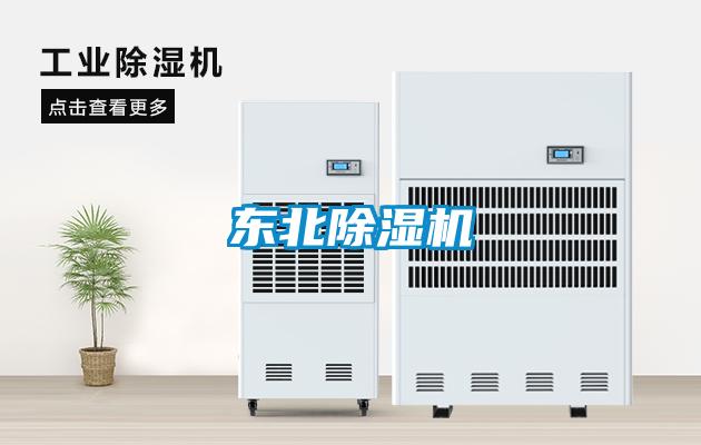 東北麻豆视频免费看