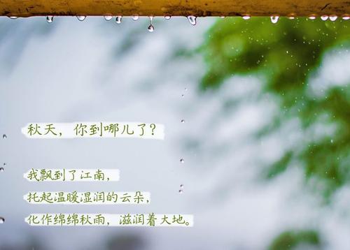 麻豆视频免费看