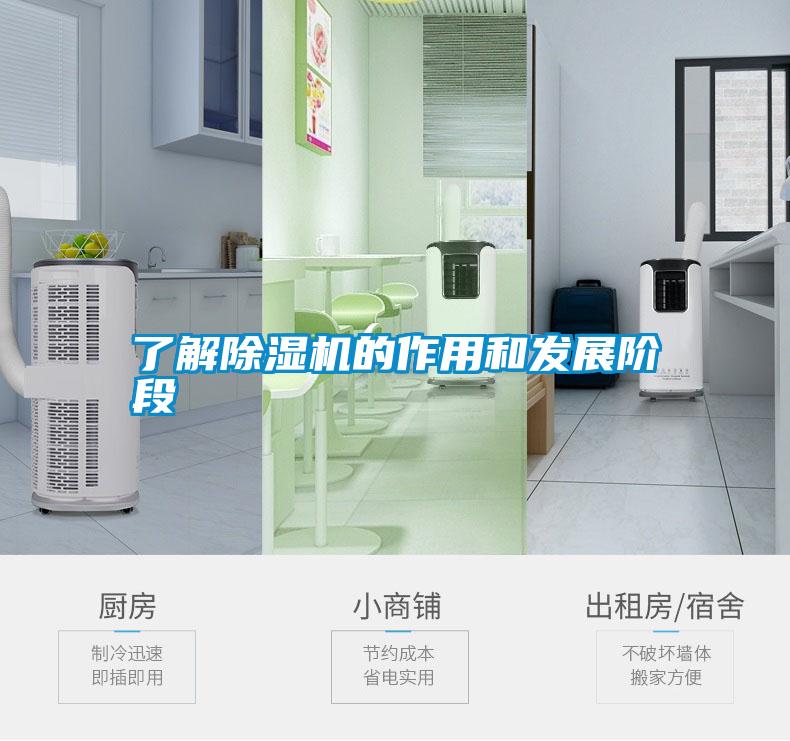 了解麻豆视频免费看的作用和發展階段
