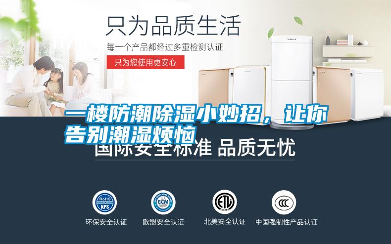 一樓防潮除濕小妙招，讓你告別潮濕煩惱