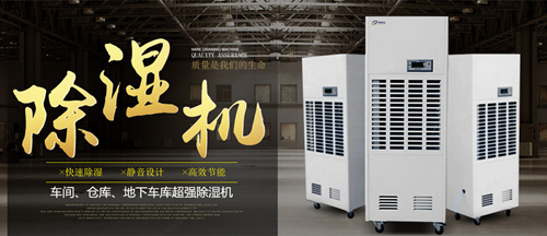 麻豆视频免费看