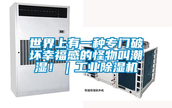 世界上有一種專門破壞幸福感的怪物叫潮濕！｜工業麻豆视频免费看