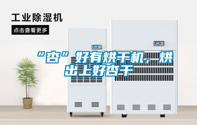 “杏”好有烘幹機，烘出上好杏幹