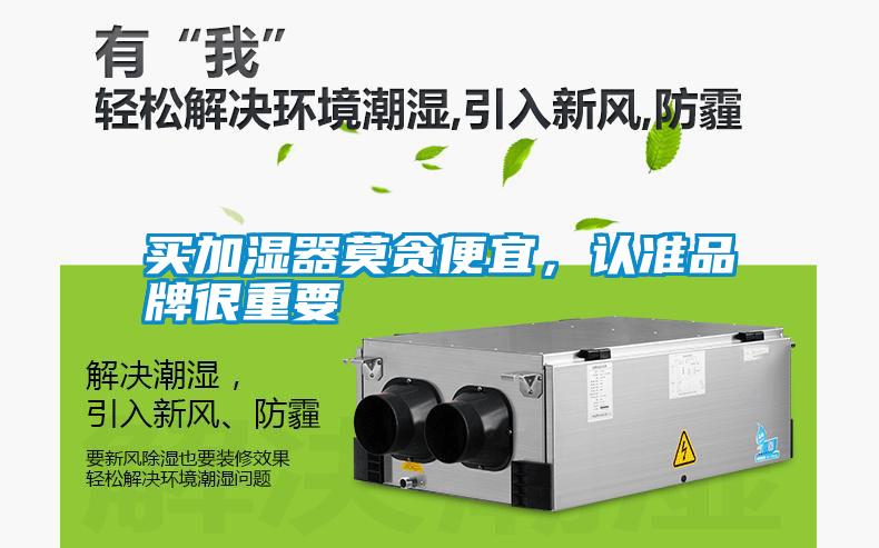 買加濕器莫貪便宜，認準品牌很重要