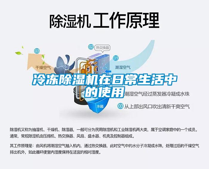 冷凍麻豆视频免费看在日常生活中的使用