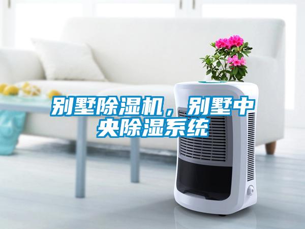 別墅麻豆视频免费看，別墅中央除濕係統
