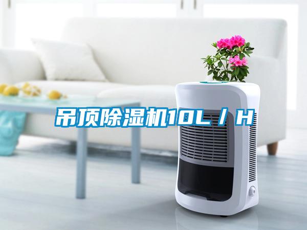 吊頂麻豆视频免费看10L／H