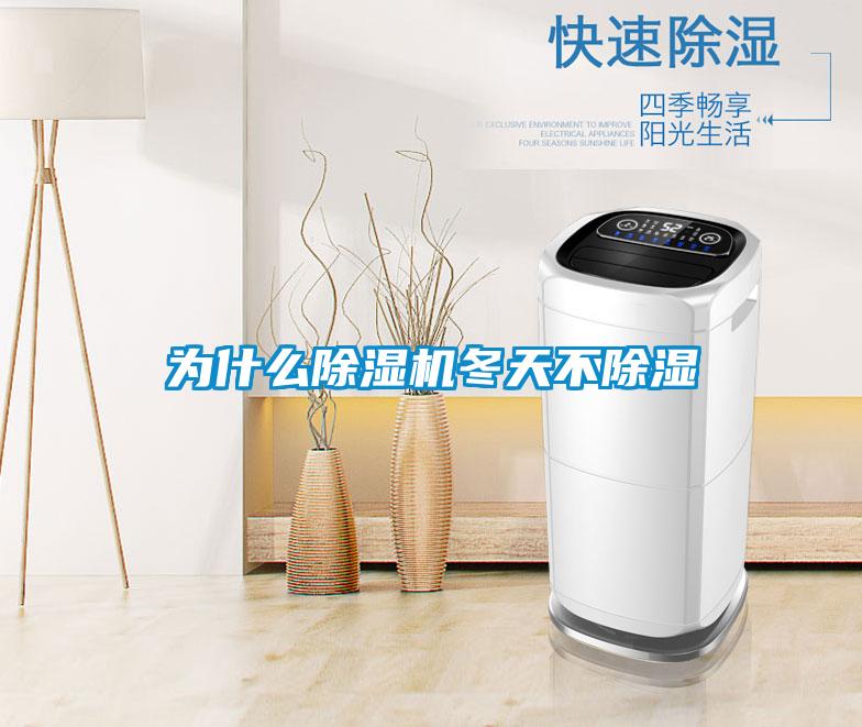 為什麽麻豆视频免费看冬天不除濕