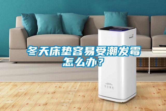 冬天床墊容易受潮發黴怎麽辦？