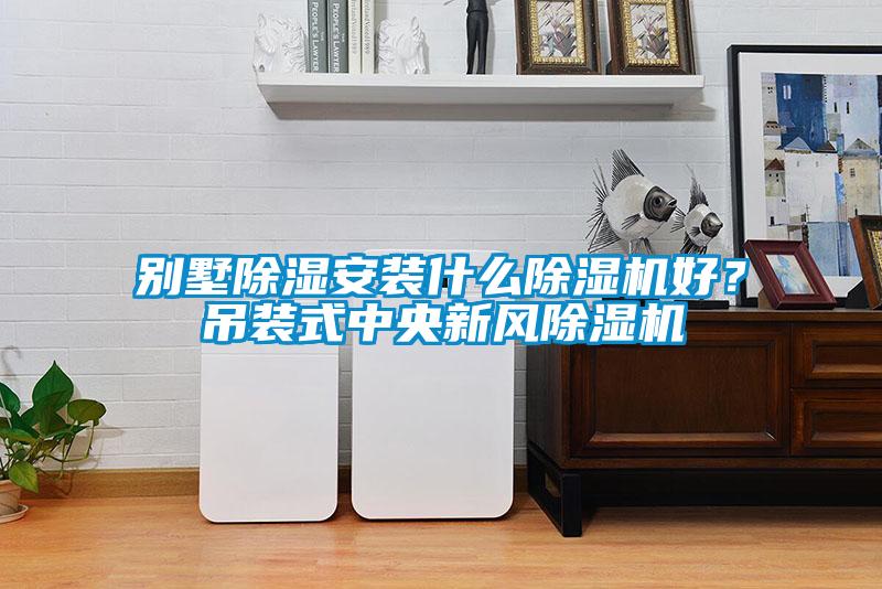 別墅除濕安裝什麽麻豆视频免费看好？吊裝式中央新風麻豆视频免费看