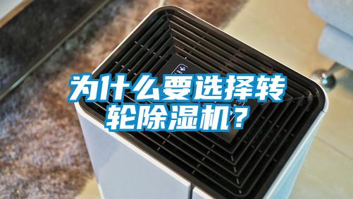 為什麽要選擇轉輪麻豆视频免费看？