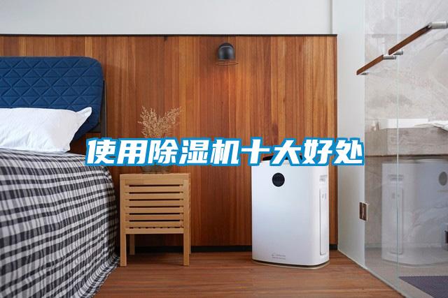 使用麻豆视频免费看十大好處