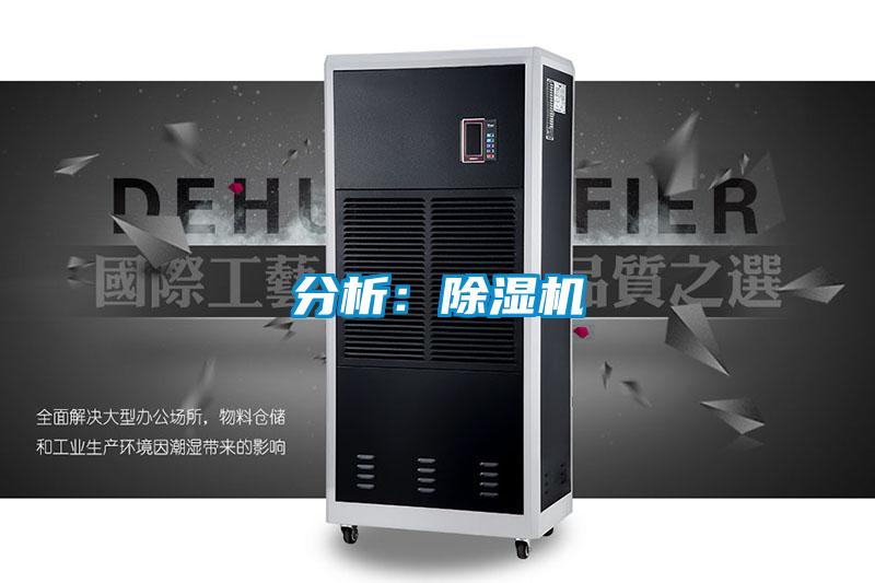 分析：麻豆视频免费看
