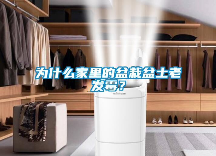 為什麽家裏的盆栽盆土老發黴？