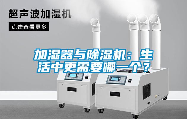 加濕器與麻豆视频免费看：生活中更需要哪一個？