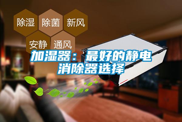加濕器：最好的靜電消除器選擇