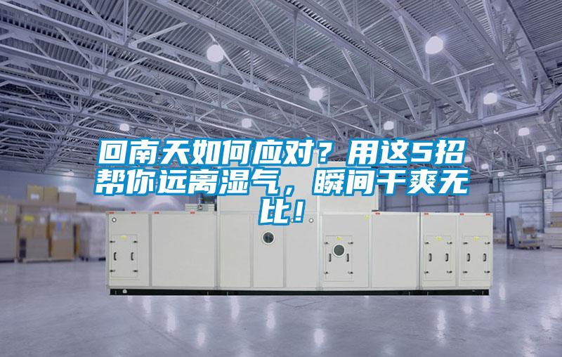 回南天如何應對？用這5招幫你遠離濕氣，瞬間幹爽無比！