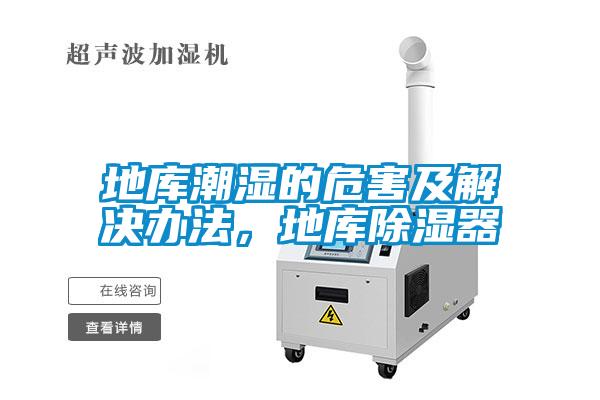 地庫潮濕的危害及解決辦法，地庫除濕器