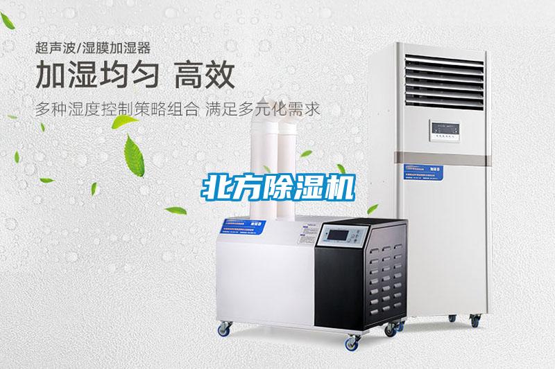 北方麻豆视频免费看