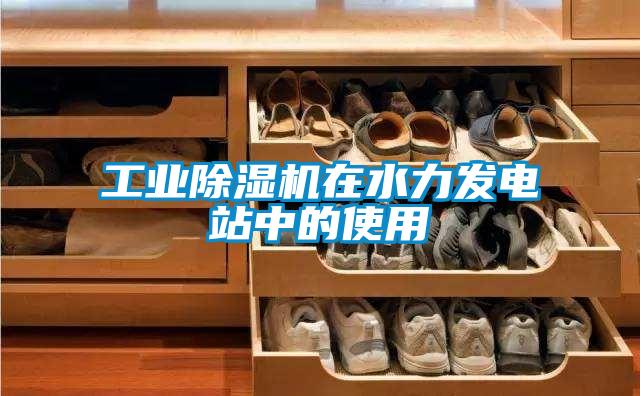 工業麻豆视频免费看在水力發電站中的使用