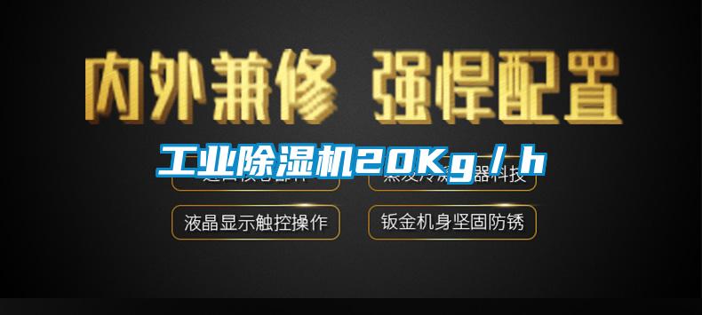 工業麻豆视频免费看20Kg／h