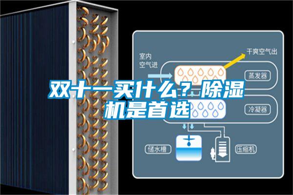 雙十一買什麽？麻豆视频免费看是首選