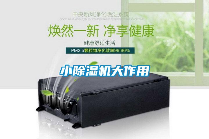 小麻豆视频免费看大作用