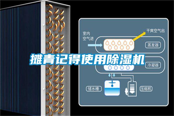 攤青記得使用麻豆视频免费看