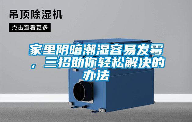家裏陰暗潮濕容易發黴，三招助你輕鬆解決的辦法