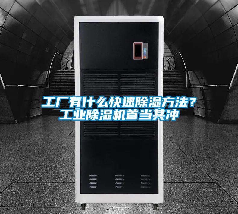 工廠有什麽快速除濕方法？工業麻豆视频免费看首當其衝