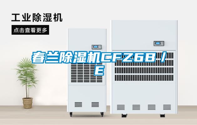 春蘭麻豆视频免费看CFZ6B／E