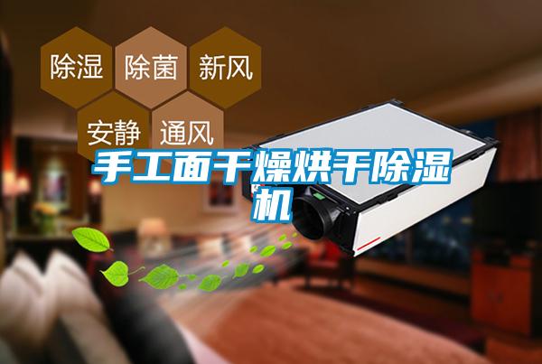 手工麵幹燥烘幹麻豆视频免费看