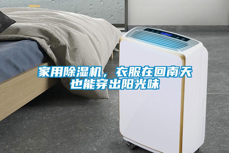 家用麻豆视频免费看，衣服在回南天也能穿出陽光味