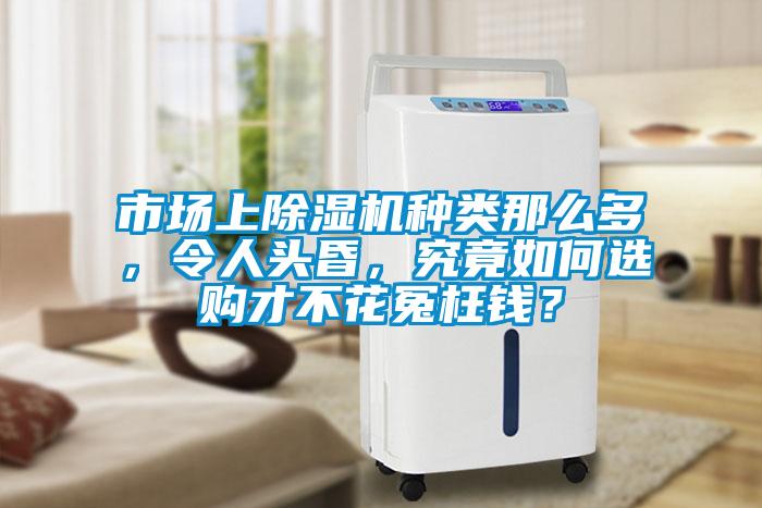 市場上麻豆视频免费看種類那麽多，令人頭昏，究竟如何選購才不花冤枉錢？