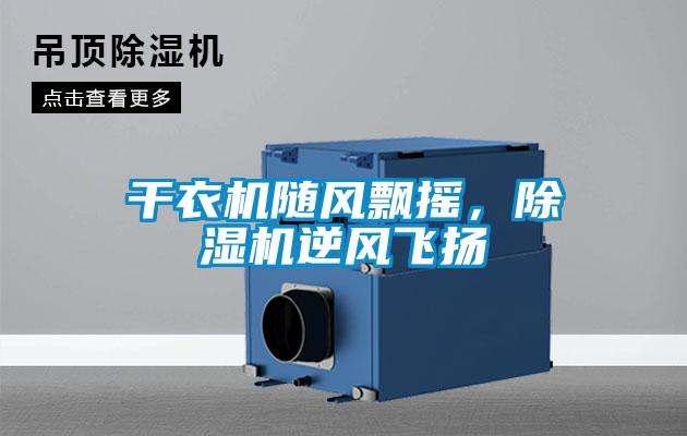 幹衣機隨風飄搖，麻豆视频免费看逆風飛揚