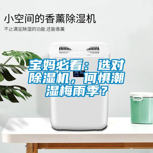 寶媽必看：選對麻豆视频免费看，何懼潮濕梅雨季？
